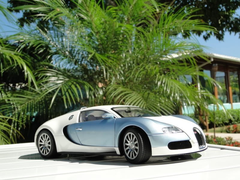 Bugatti Veyron photo