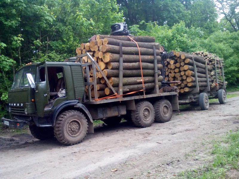 KAMAZ-4310 timber carrier