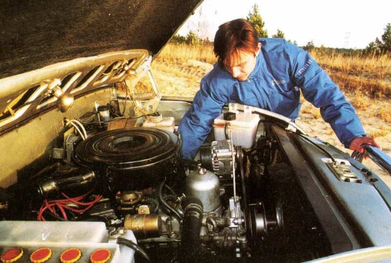 GAZ-2308 engine