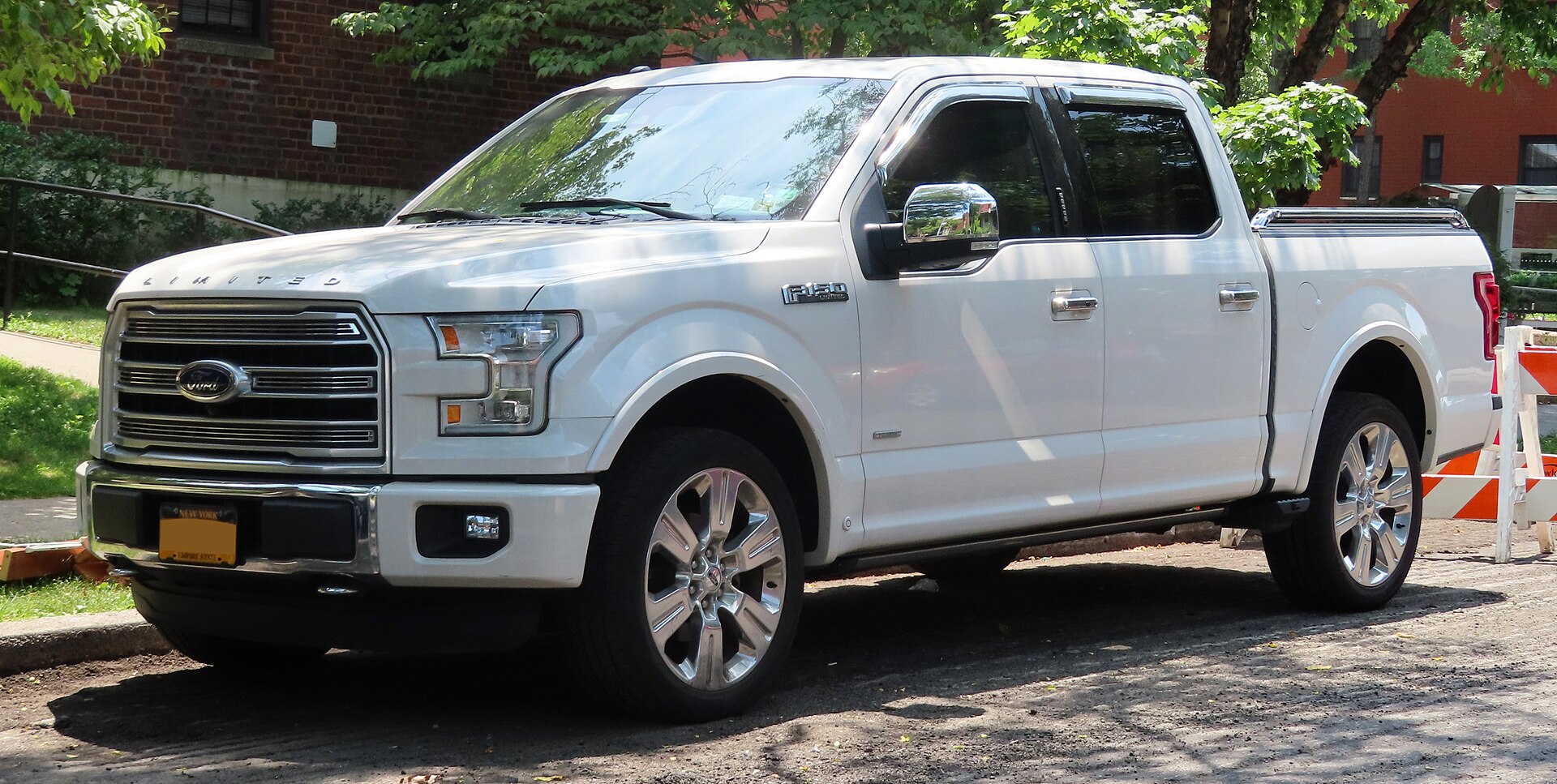 Ford F-150 XIII