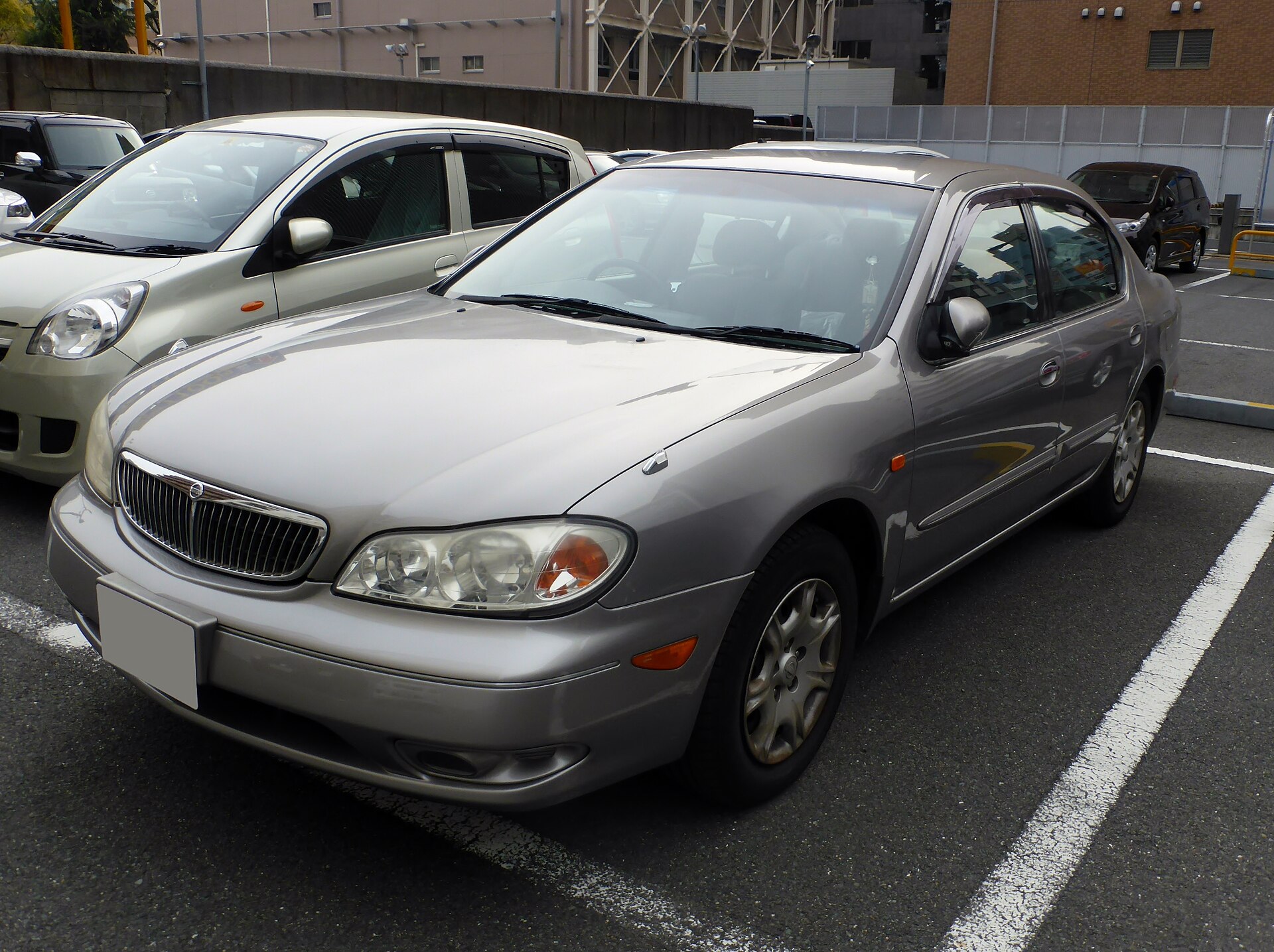 Photo: Tokumeigakarinoaoshima / Wikimedia Commons, CC0