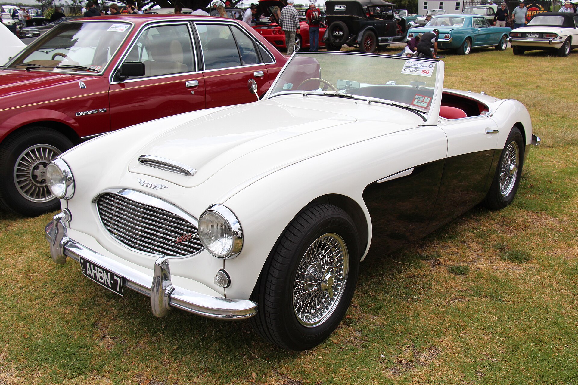 Austin-Healey — Donald Healey's Twenty-Year Partnership With BMC