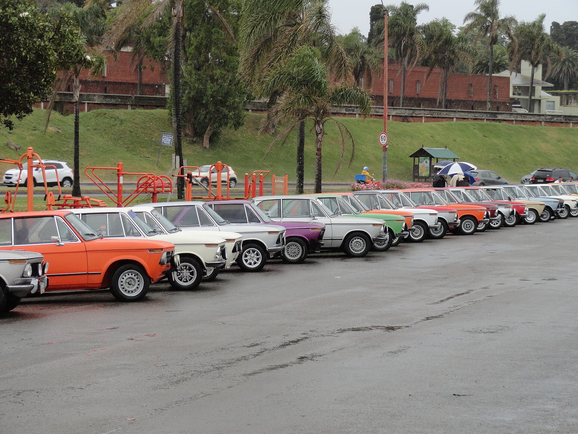 Several BMW 2002 cars at an anniversary meeting in Uruguay