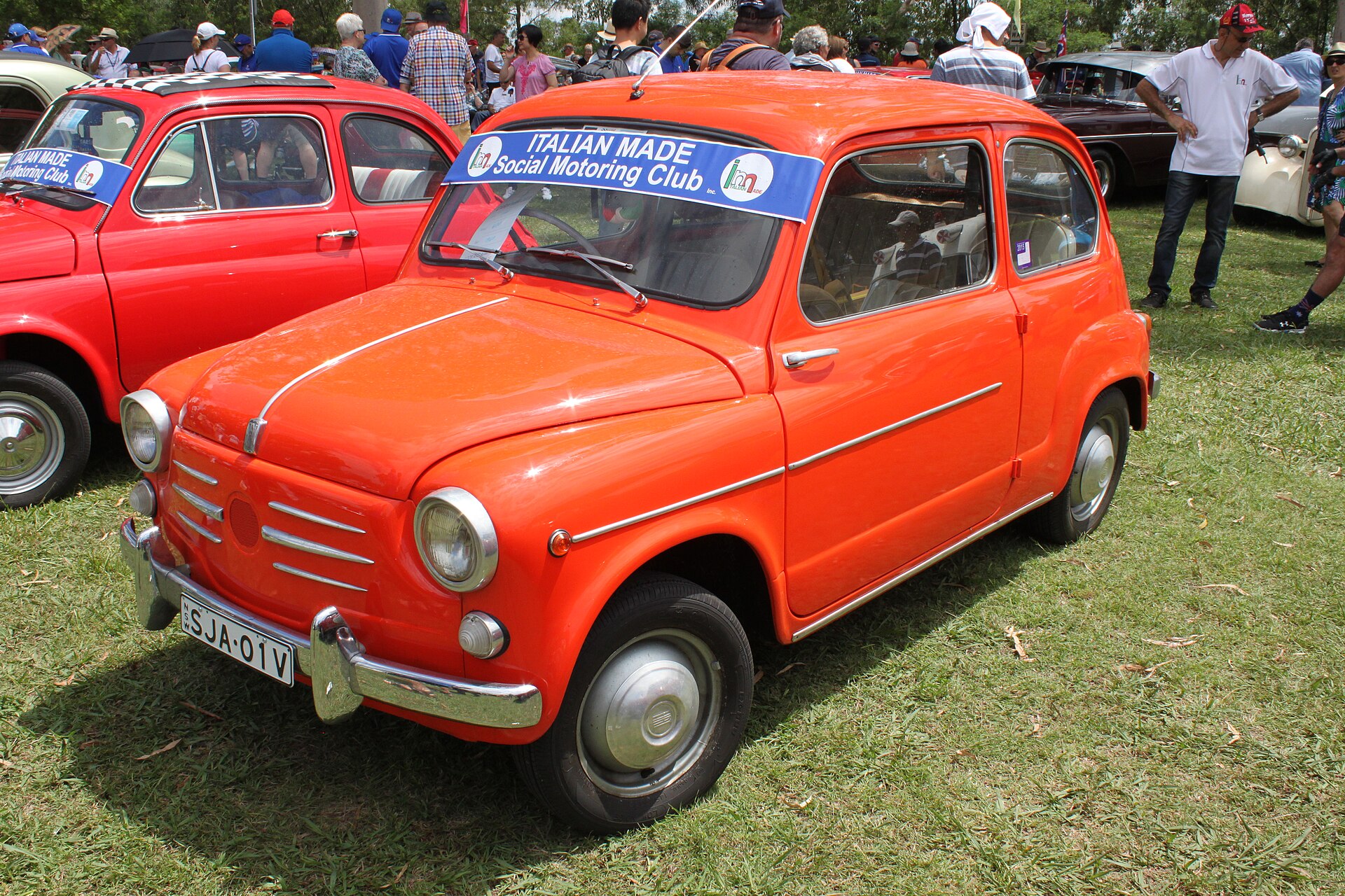Classic 1955 Fiat 600 small car