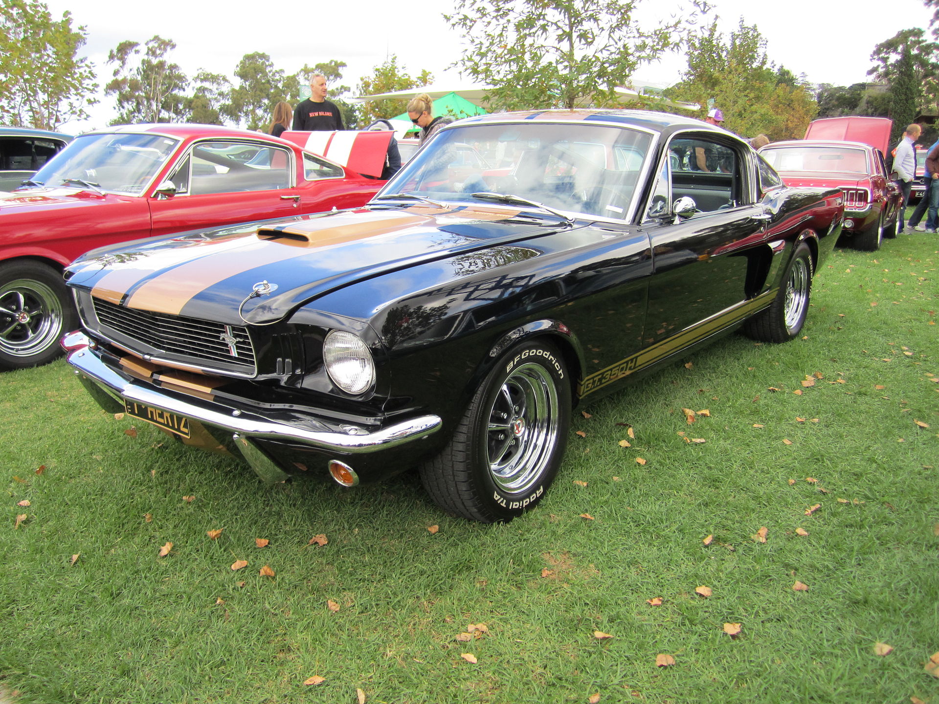 1966 Shelby GT350H fastback