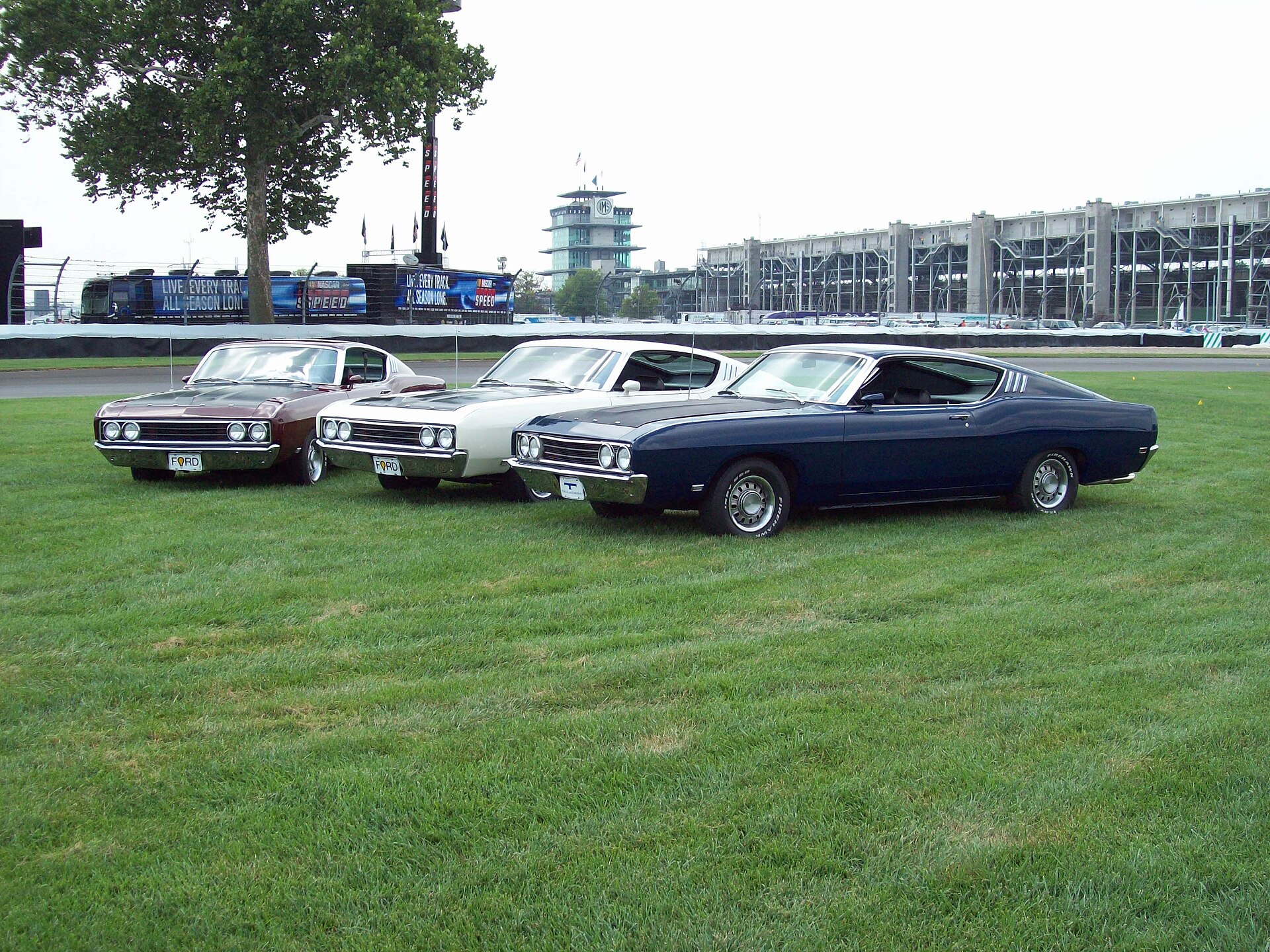 Three Ford Torino Talladega fastbacks