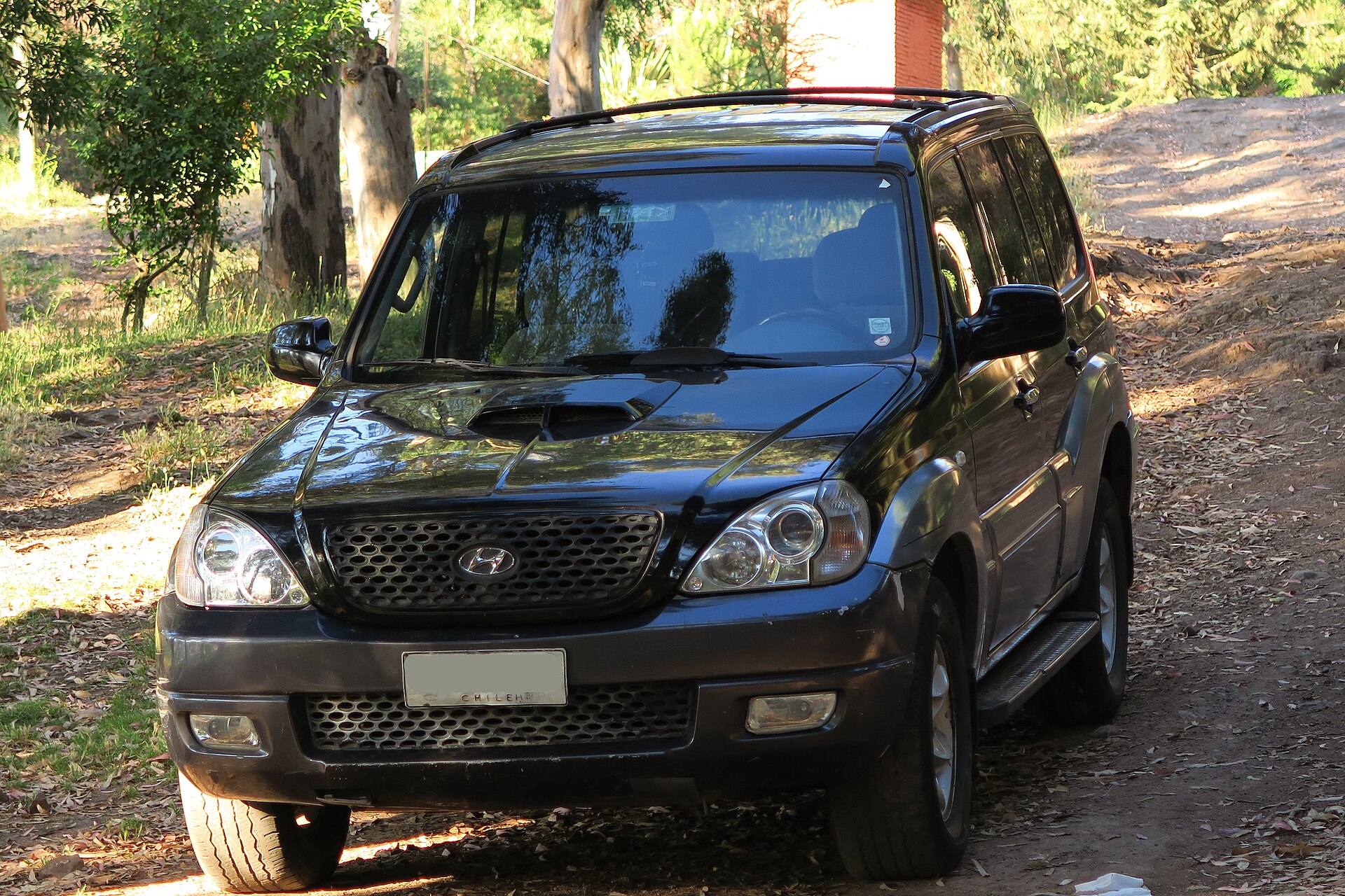 Dark 2006 Hyundai Terracan GL 2.9 CRDi, front view