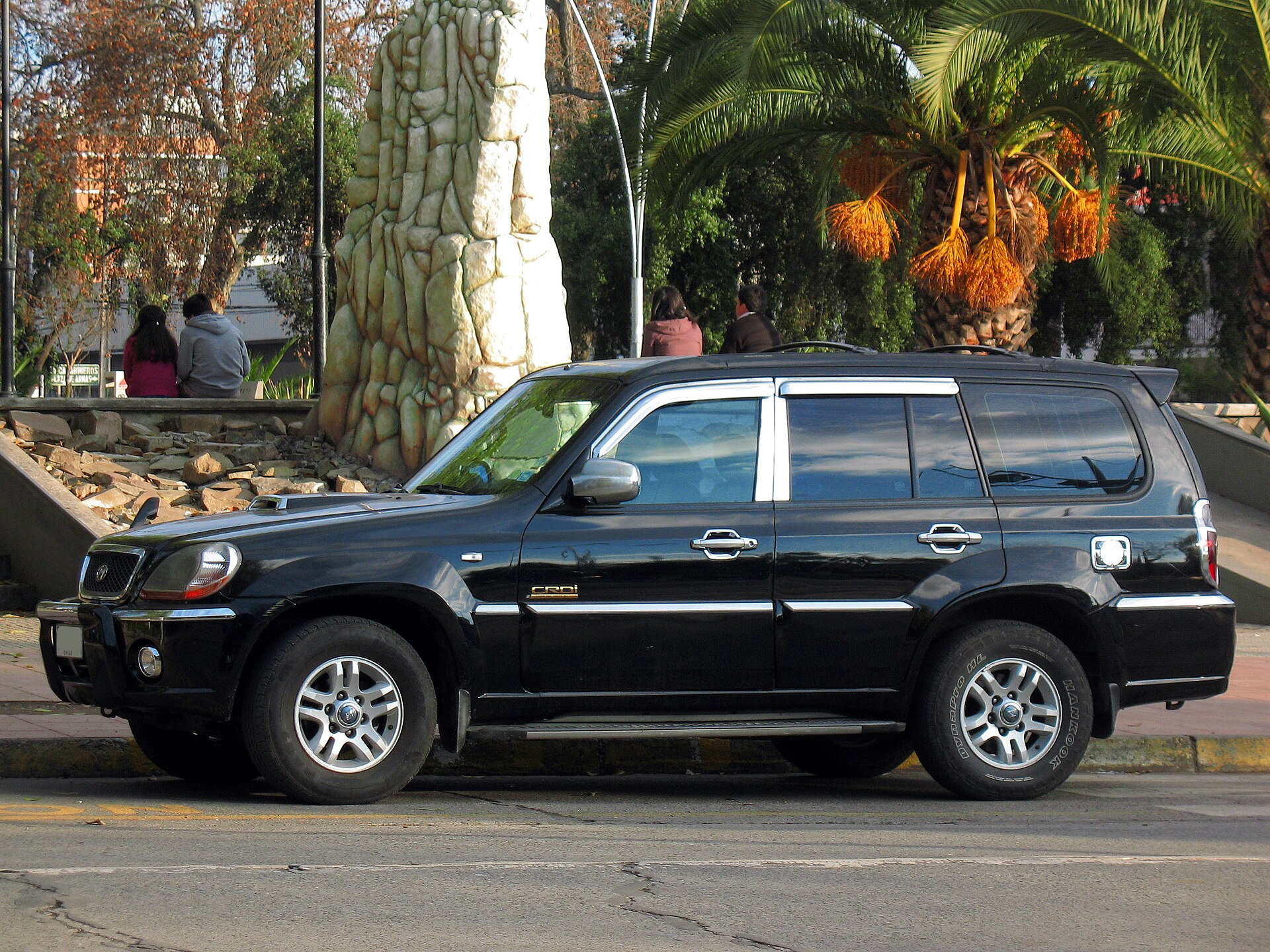 Black 2003 Hyundai Terracan JX 290 CRDi, side view