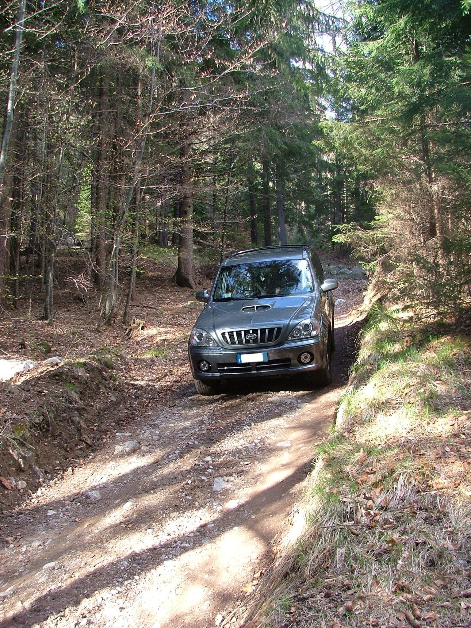 Hyundai Terracan on an unpaved mountain track in a forest