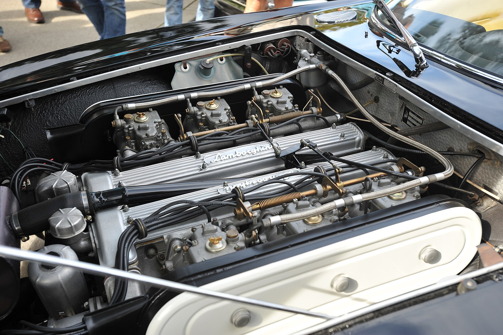 Lamborghini 350 GT side view