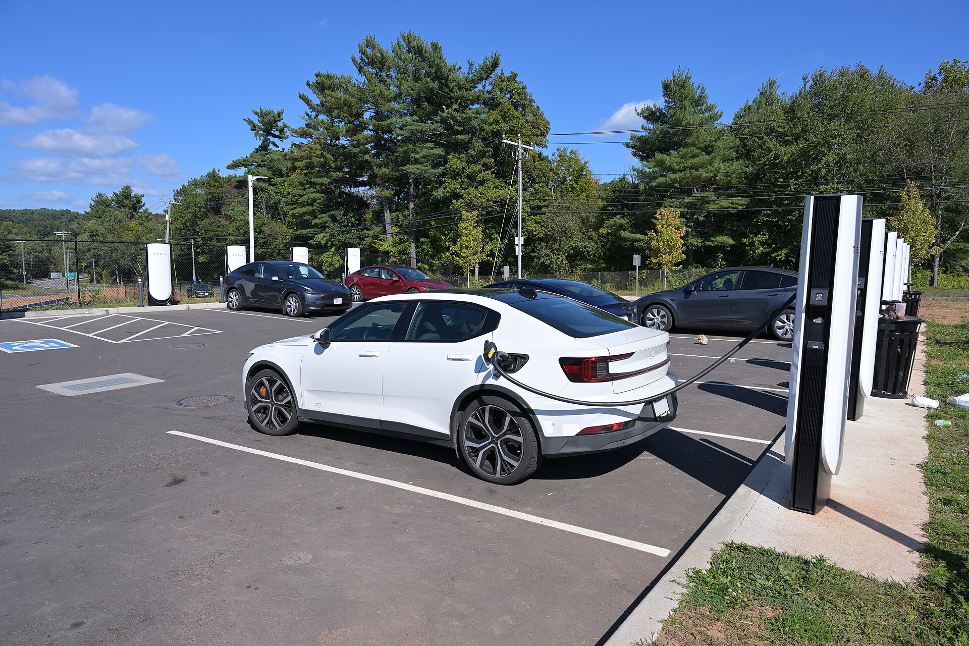Petrol vs Diesel vs Hybrid vs Electric: Which Should You Buy?
