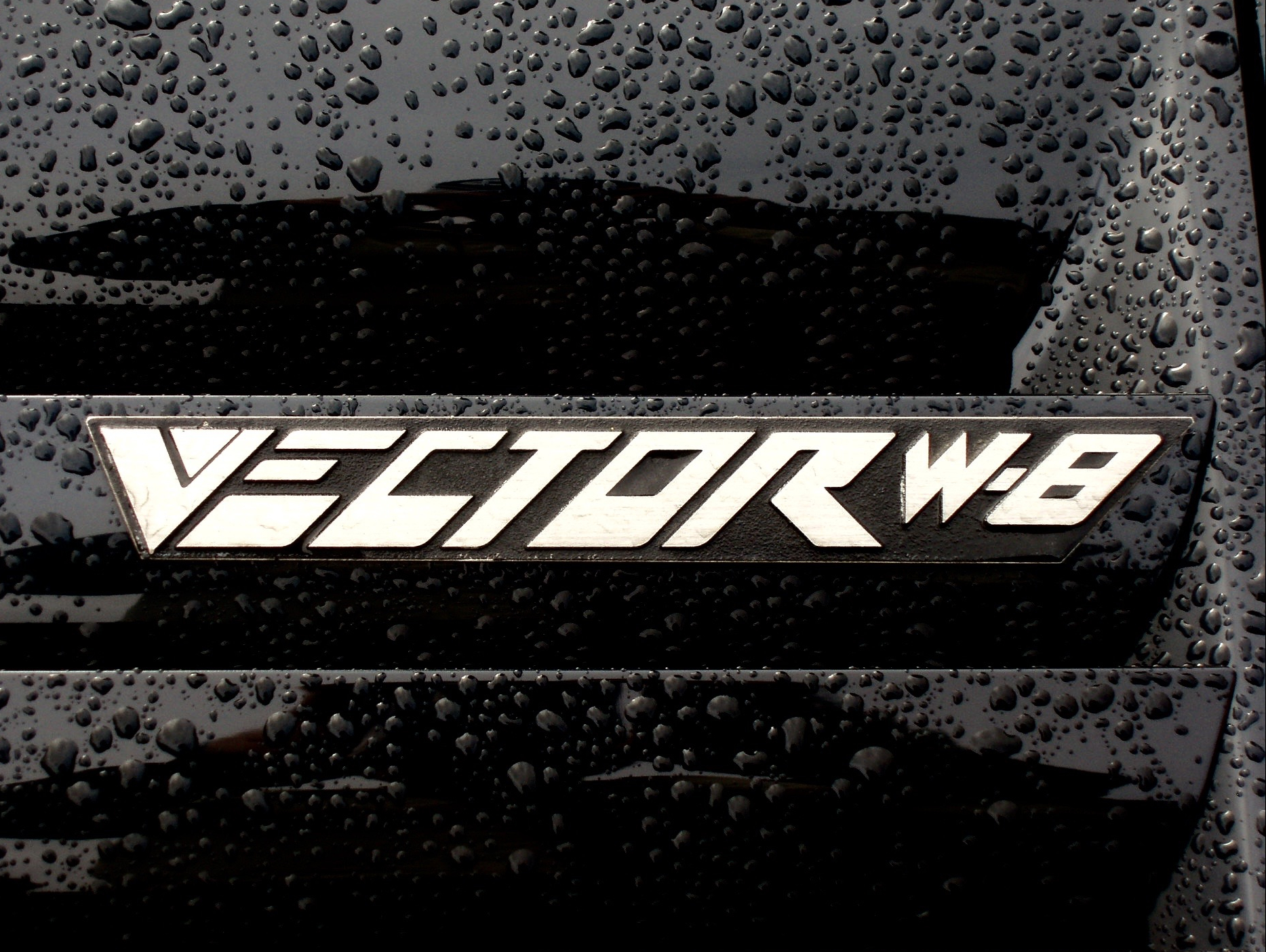 Vector W8 badge on the bodywork, close-up