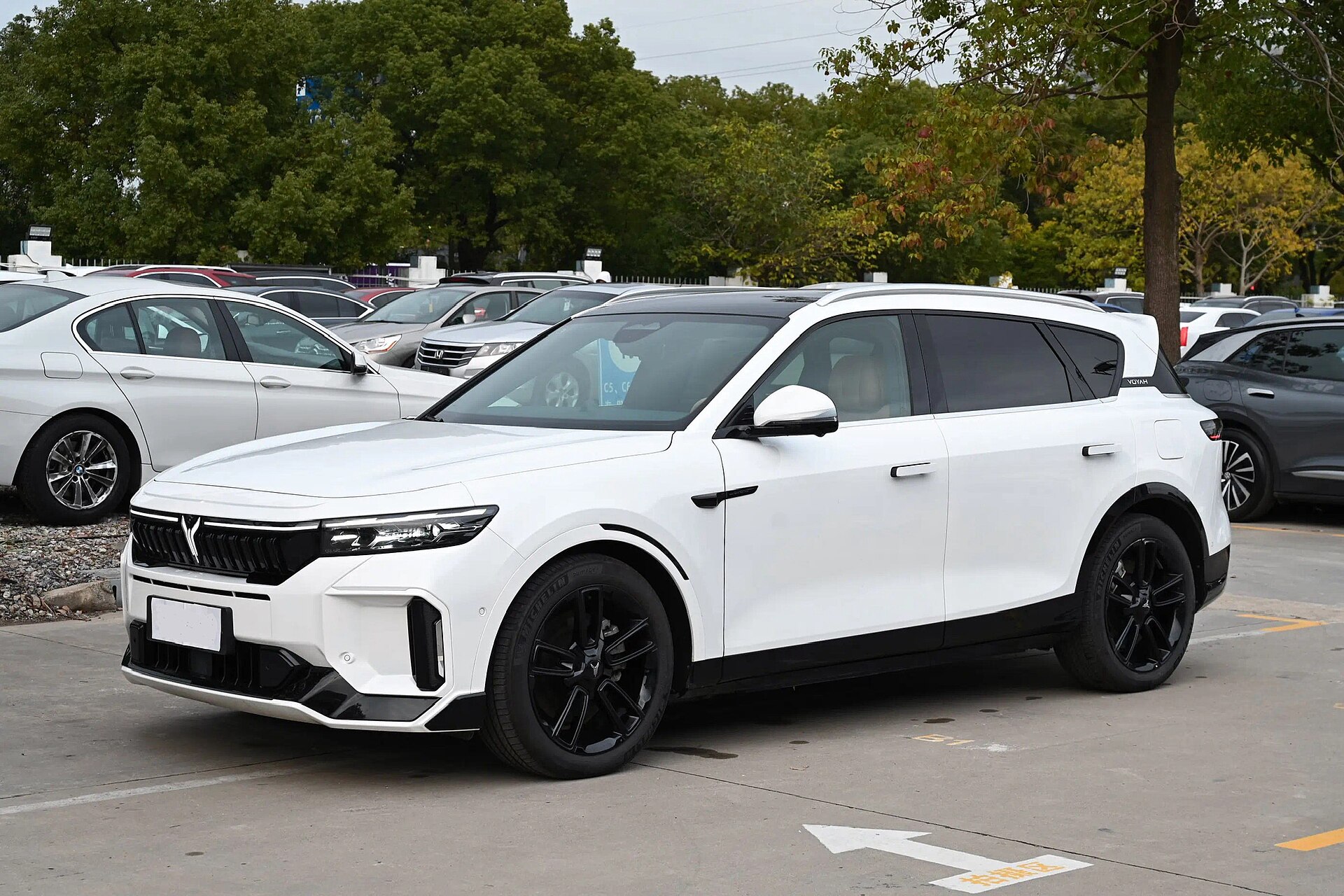 Voyah Free range-extended SUV, exterior view