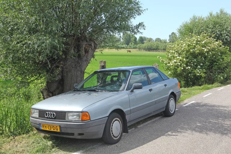 80 B3