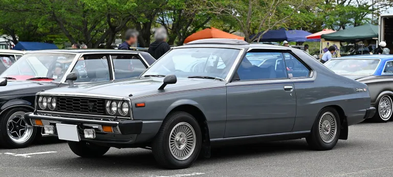 Skyline C210